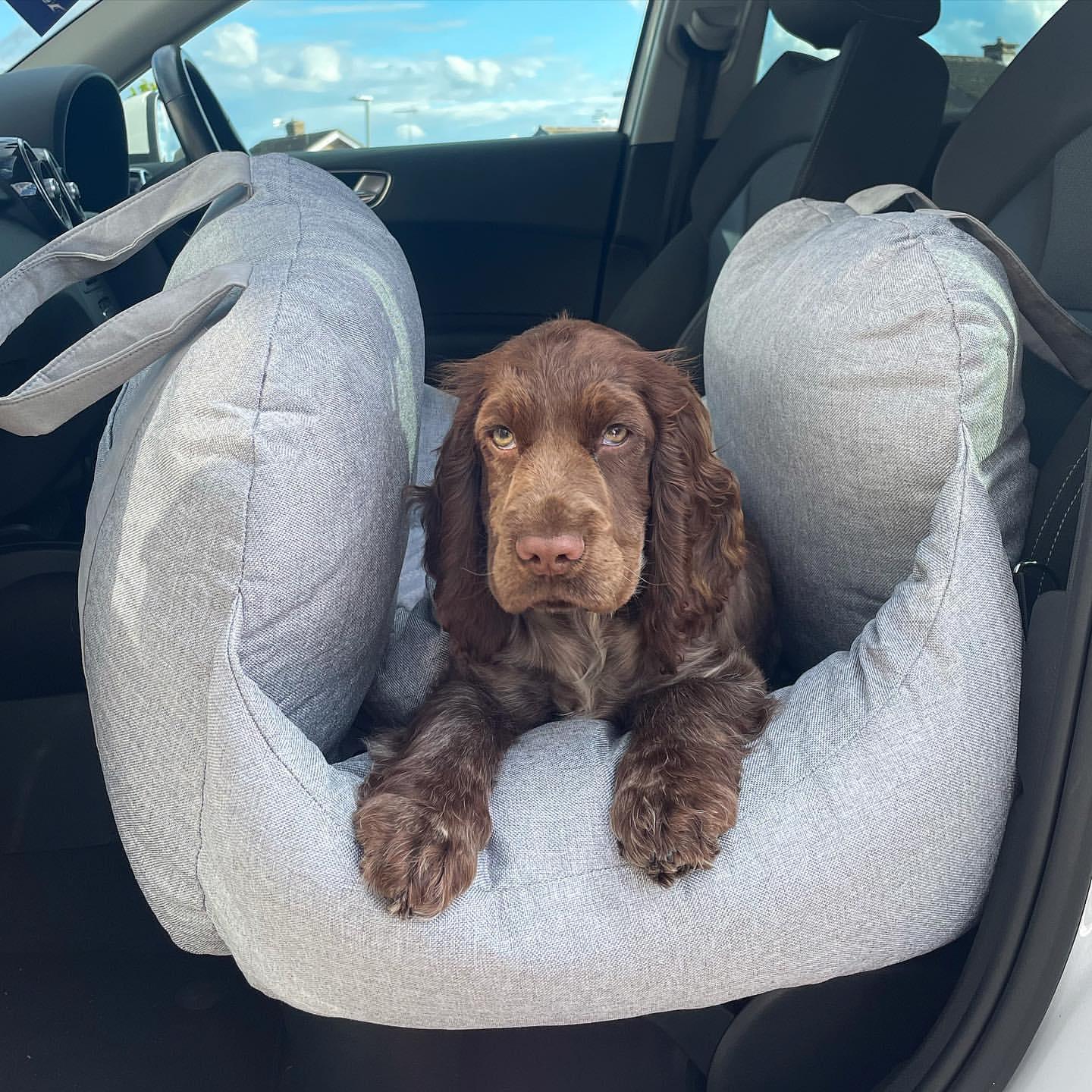 Perro Amsterdam x Travel Luxe Honden Auto Mand