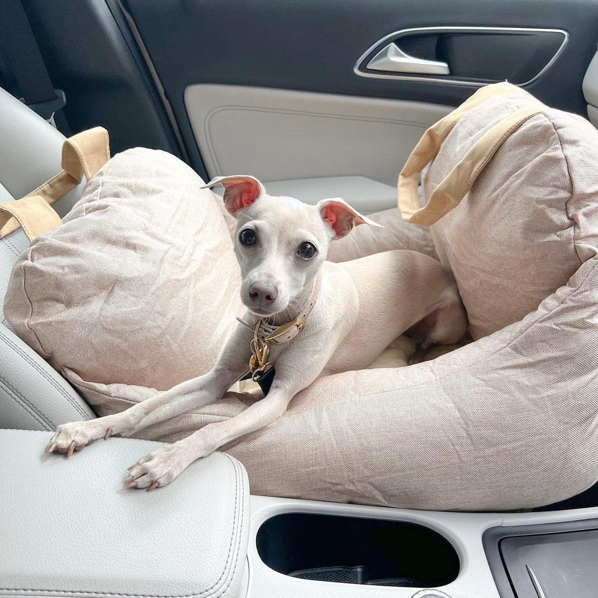 Perro Amsterdam x Travel Luxe Honden Auto Mand