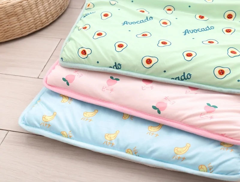 Perro Amsterdam x Coole Koelmat Hond