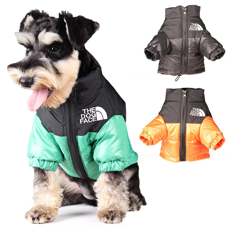 Perro Amsterdam x The Dog Face - Water en Winddichte Stijlvolle Hondenjas