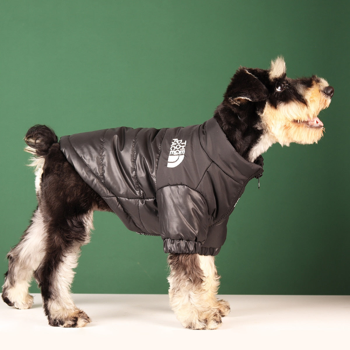 Perro Amsterdam x The Dog Face - Water en Winddichte Stijlvolle Hondenjas