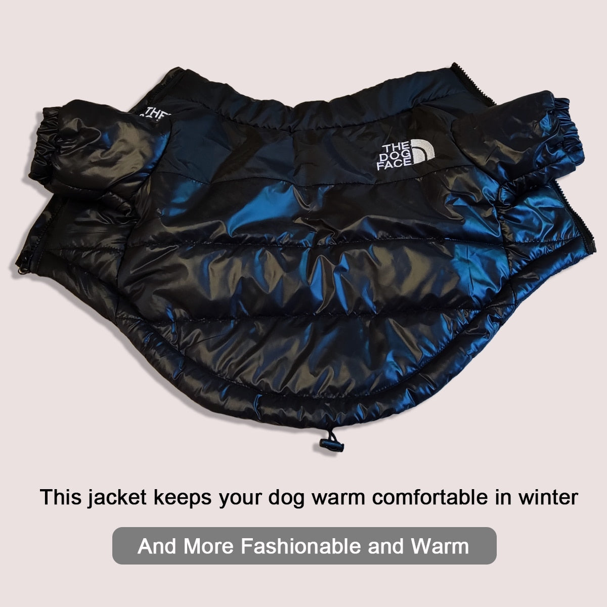 Perro Amsterdam x The Dog Face - Water en Winddichte Stijlvolle Hondenjas