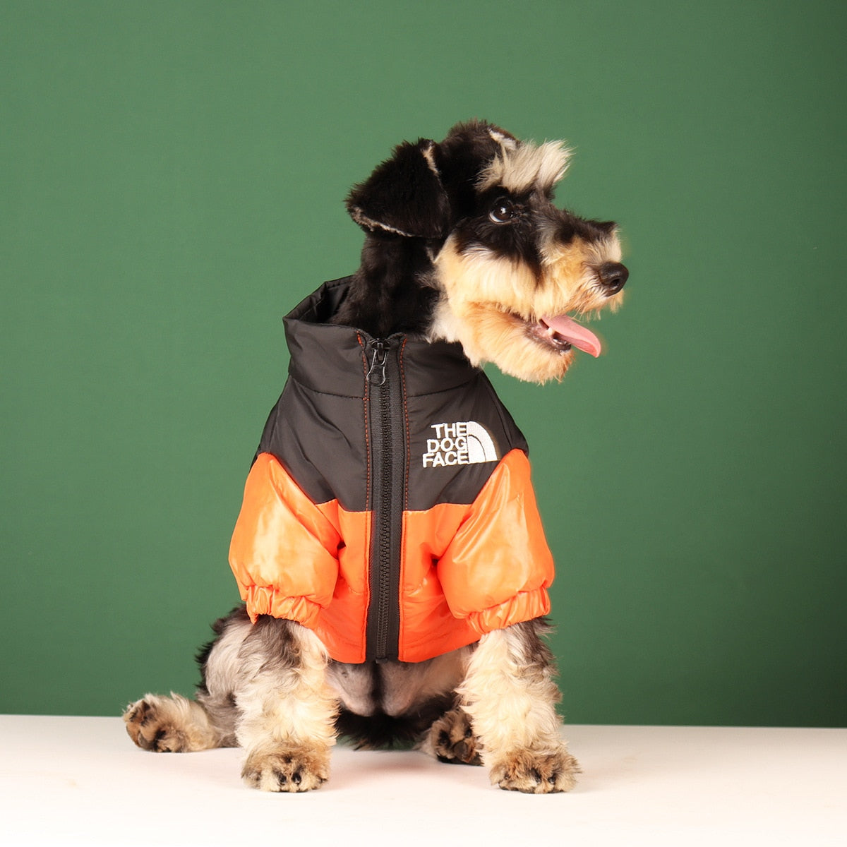 Perro Amsterdam x The Dog Face - Water en Winddichte Stijlvolle Hondenjas