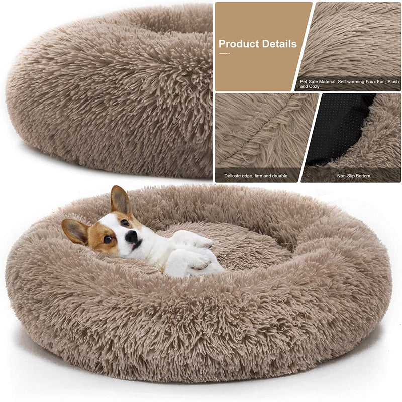 Perro Amsterdam x Zachte Donut Honden Mand