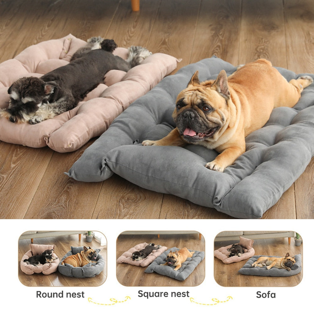 Perro Amsterdam x Premium Comfort Honden Mand