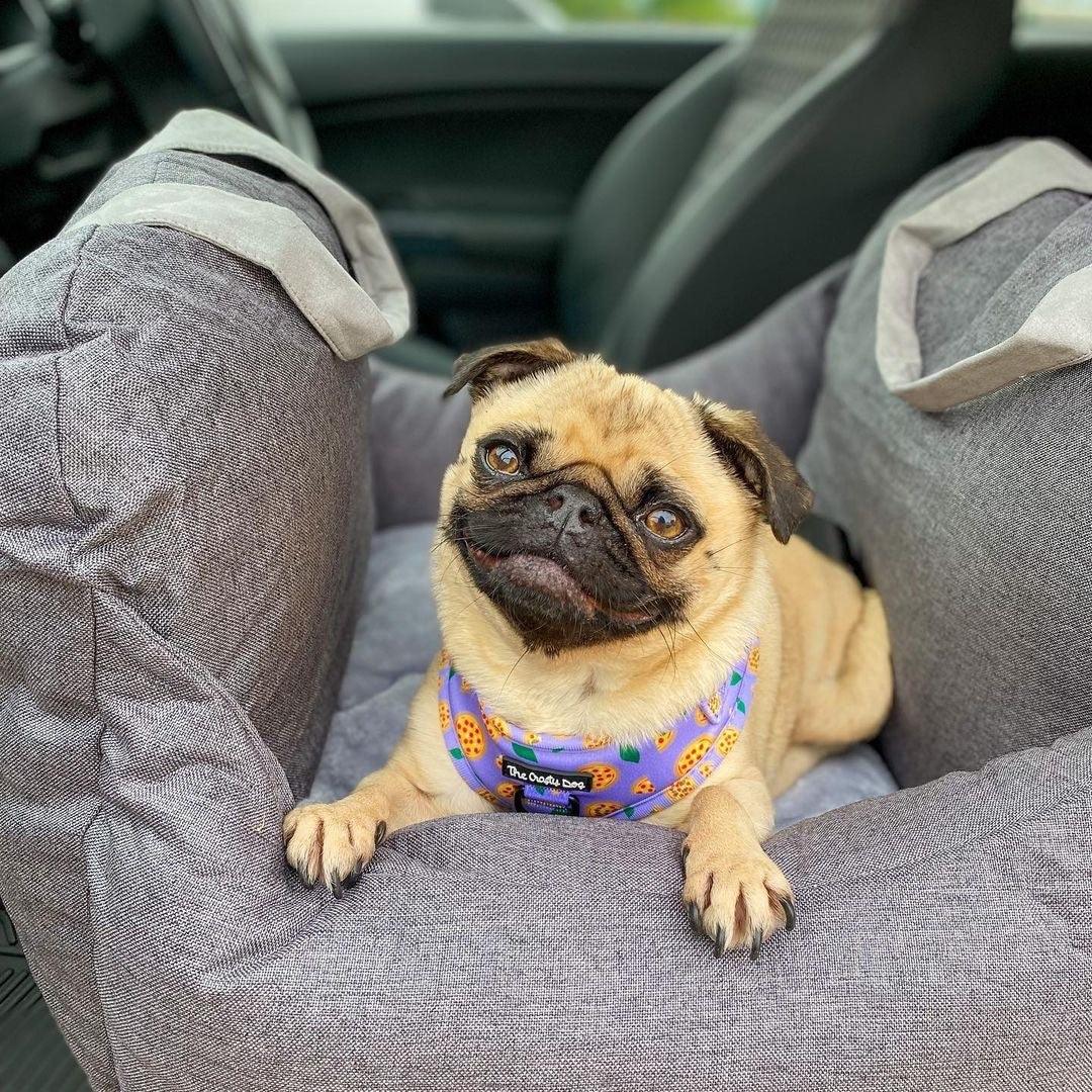 Perro Amsterdam x Travel Luxe Honden Auto Mand